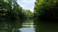 Времето: Слънчево и топло 